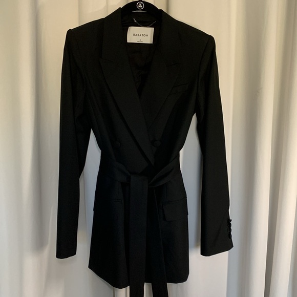 Aritzia Babaton Samuel Double-breasted Belted Blazer - Picture 3 of 6